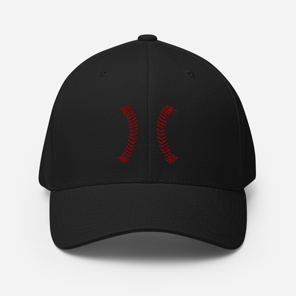 White Seams Flex Hat with raised baseball seam embroidery on front panels and ADY logo on back
