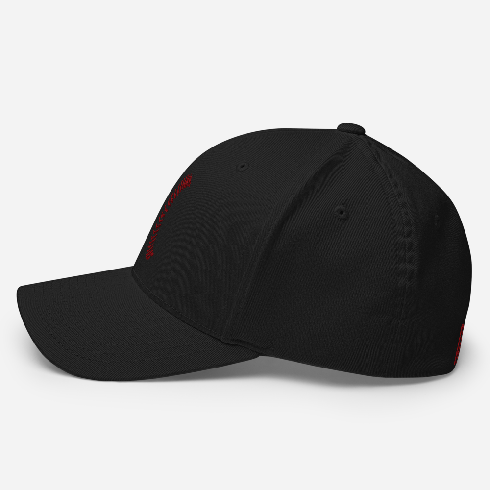 White Seams Flex Hat with raised baseball seam embroidery on front panels and ADY logo on back
