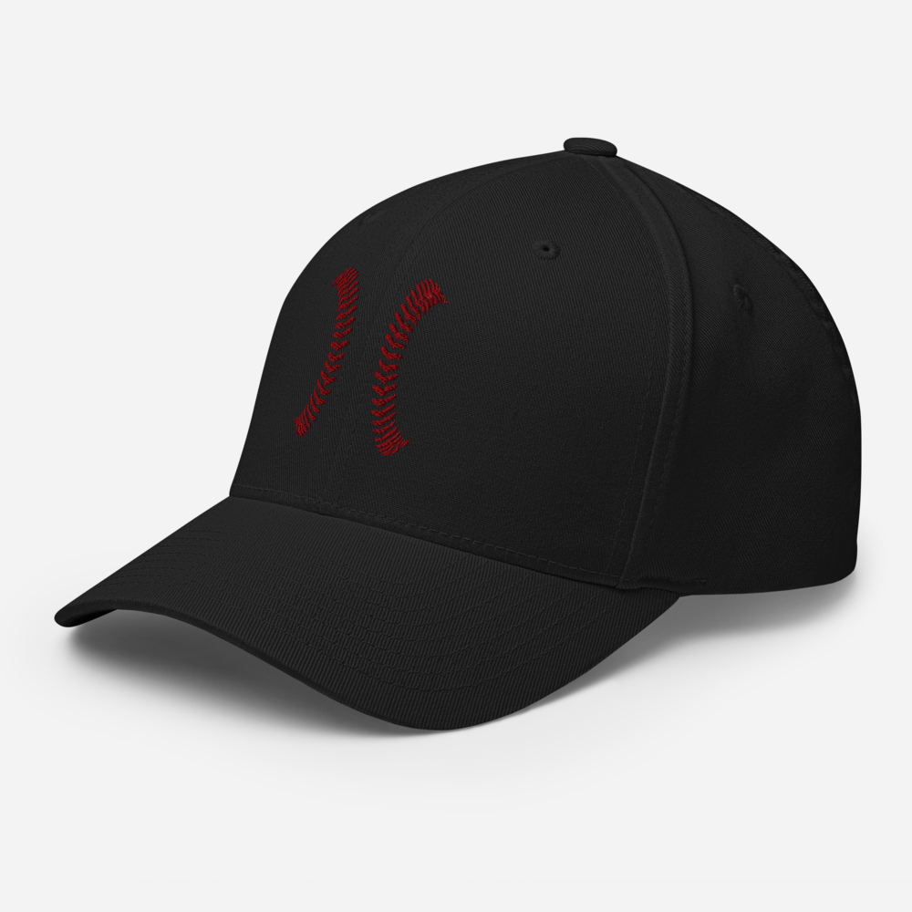 White Seams Flex Hat with raised baseball seam embroidery on front panels and ADY logo on back
