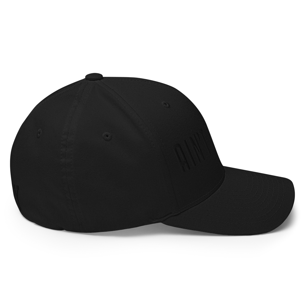 Stealth Flex Hat